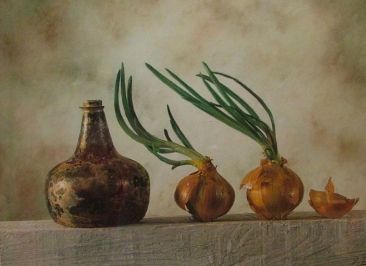 Antique Vase and Onions