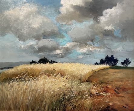 Stormy Skies Over The Provence