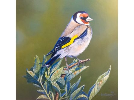 Goldfinch Study